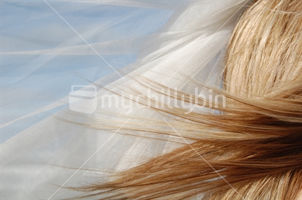 Bride''s hair flowing in the wind.