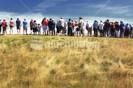 Gallery of people watching golf tournament at pegasus golf course.