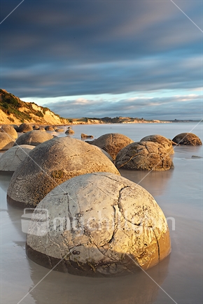 Moeraki boulders at dawn.