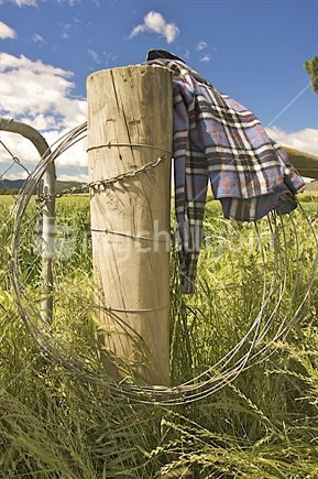Coiled wire and bush-shirt hanging over fence