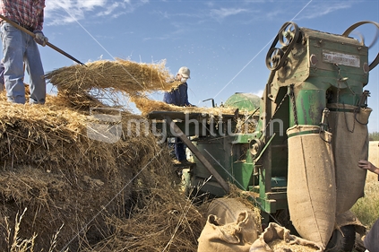 Forking straw into the chaff cutter.