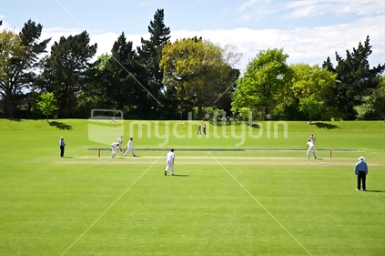 Summer cricket (foreground grass focus), Mainpower Oval, Rangiora, New Zealand. 