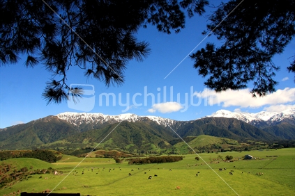 Farm view to southern alps
