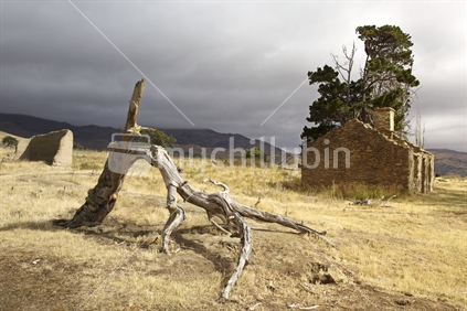 Old tree branch and stone house, Stewart Town, Central Otago.
