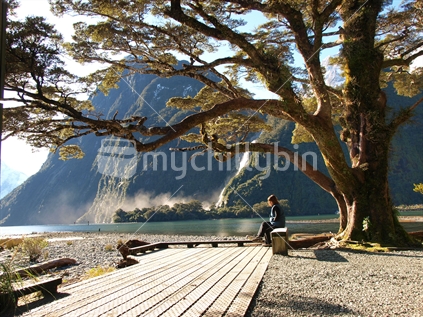 Relaxing in the sun, siting at Milford Sound 