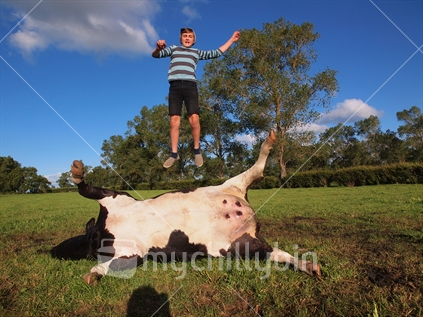 Illusion of Boy Appearing to Bounce on a Dead Cow