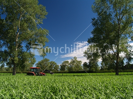 Field and tractor