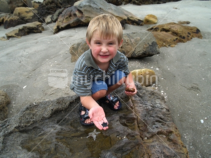 Young boy discovering starfish