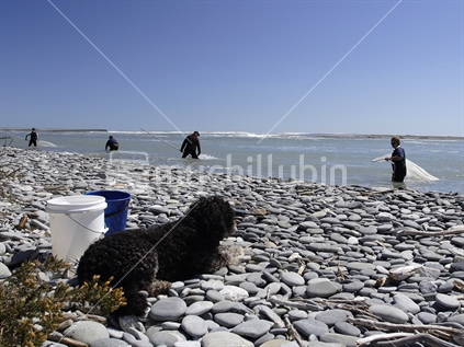 People fishing for whitebait at the river mouth and a dog sits waiting by the buckets