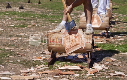 The sport of woodchopping.  3.