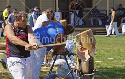 The sport of woodchopping.