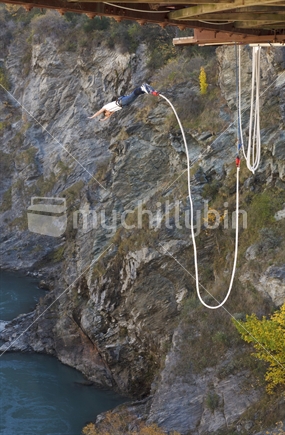 Bungy jumping, New Zealand