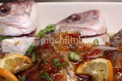 Snapper, with tasty sauce (focus)