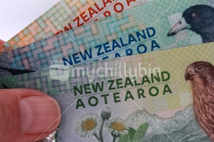 New Zealand $5 $10 $20 notes. Note: Please view approved reproduction details of NZ banknote full images at:http://www.rbnz.govt.nz/notes-and-coins/issuing-or-reproducing