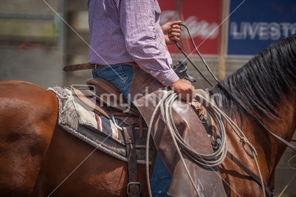 New Zealand Rodeo; Riding high