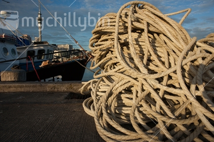 Rope with skytower and boat in background
