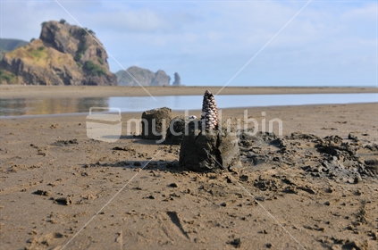 Piha North Beach looking south to Lion Rock in the background and sand castles in the foreground, New Zealand
