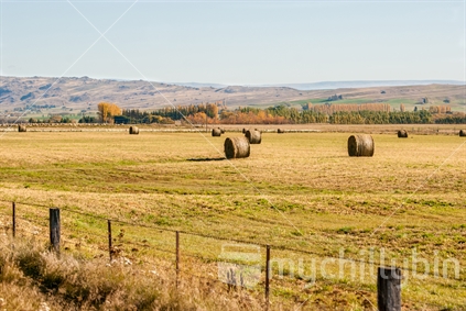 Farm in Otago after Haymaking.