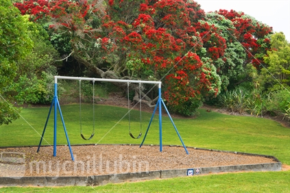 Swings in the Playground with Pohutukawa in the background and no dogs or alcohol signs in the front. 