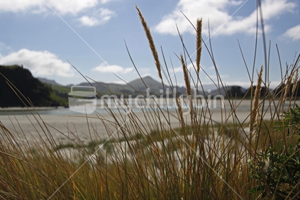 Hoopers Inlet taken from Allans Beach on the Otago Peninsula, New Zealand