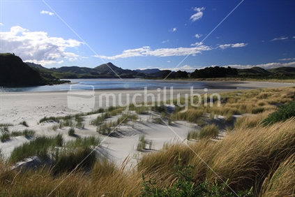 Hoopers Inlet featuring Harbour Cone from Allans Beach, Otago, New Zealand (foreground focus)