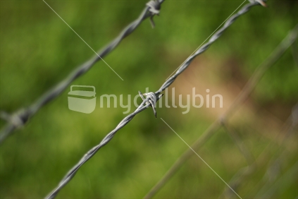 Barbed wire with green grass in the background