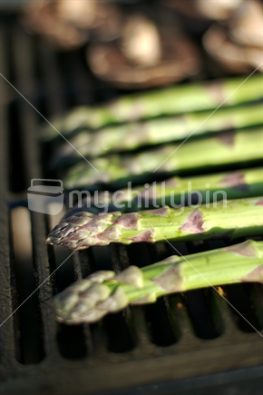 Asparagus on a barbecue