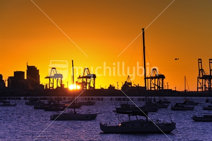 Auckland container terminal at sunset, New Zealand