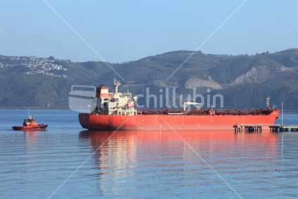 Coastal scene with oil tanker in Seaview, New Zealand