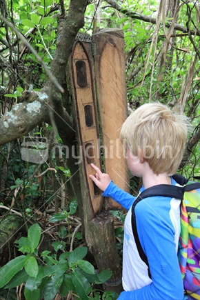 Young boy investigating a weta motel on Matiu Somes island