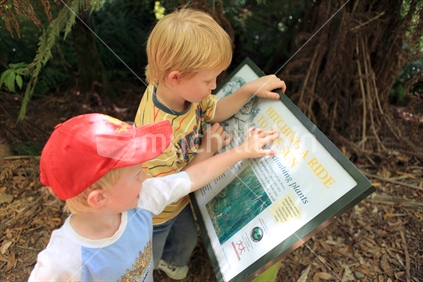 Two young boys reading an information sign at Rimutaka Forest Park
