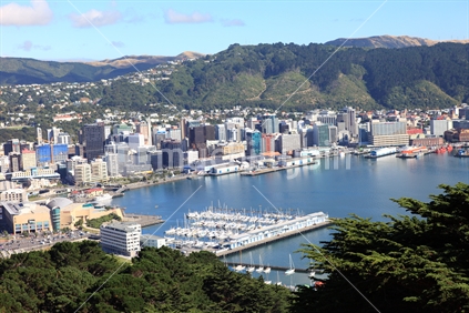 Overview of Wellington CBD from Mount Victoria Lookout
