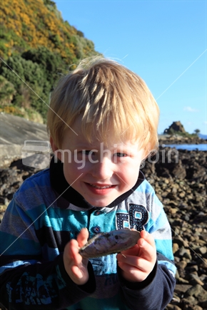 Young boy showing a Paua shell