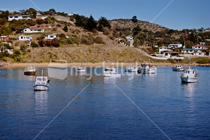 Moeraki township and boats moored in the bay North Otago, New Zealand