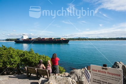 The container ship Italia passing through the Tauranga Harbour mouth to sea; watched by people from the track around the Mount. May 2012.