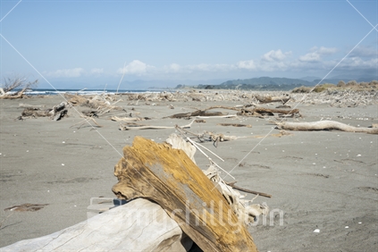 Driftwood strewn Waiotahi Beach near Opotiki.