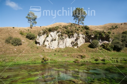Rock face behind the Te Waihou River, the weed and algae makes for a stunning view, creating patterns in the water. This river has some of the countrys purest water and supplies over 70% of the natural bottled water in NZ.