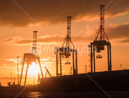 Three giraffe like container cranes silhouetted against rising sun. Port of Tauranga cranes at the container facility on Tauranga Harbour.