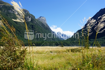Grassy valley through Southern Alps. Rees- Dart Track looking towards river.