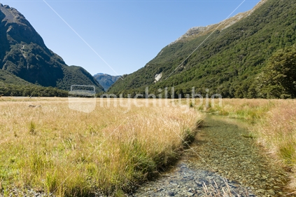 On one of New zealand's great walks, the Routeburn Track, a stony stream flows along a grassy valley floor.