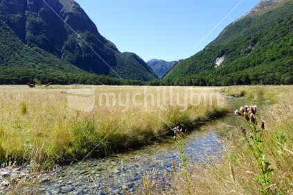 On one of New zealand's great walks, the Routeburn Track, a stony stream flows along a grassy valley floor.