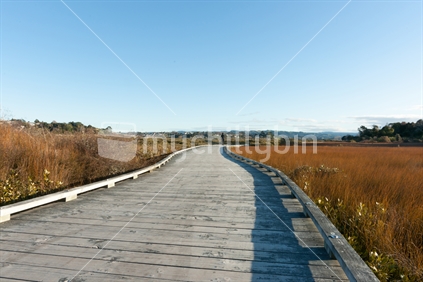 Matua Saltmarsh, Tauranga, boardwalk through the marsh walker in blurred motion in distance.