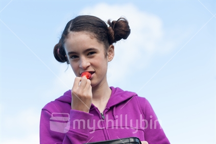 Young woman pops strawberry into mouth while picking in-season strawberries