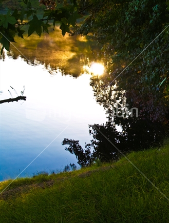 Reflected sun through leafy framing of lake scene at Tauranga''s McLaren Falls Lake.