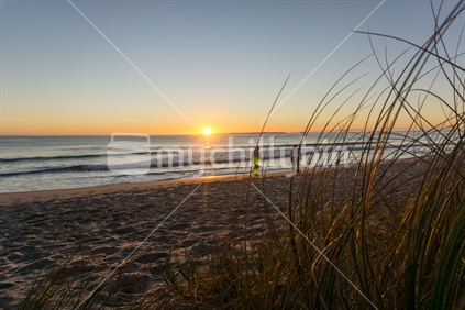 Papamoa beach, thorugh the marram  looking into sunrise
