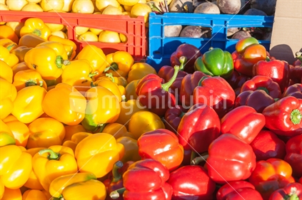 Red and yellow peppers stacked in morning sunlight in farmers market.