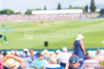 Blurred sports event spectators at cricket match background.