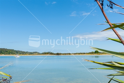 Turquoise calm water in summer holiday destination framed by leaves of flax bushes on scenic estuary Ngunguru Northland,New Zealand