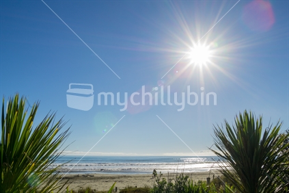Beachfront at Ohope, Whakatane looking out to sea and distant horizon as sun creates lens flare ove beach and two cabbage trees