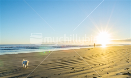 Sunrise over wide flat sandy beach at Ohope Whakatane, New Zealand  with distant silhouette of man walking small dog.